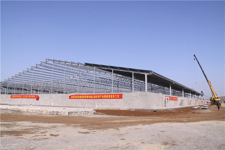 Steel Structure Design and Planning For Modern Pig Farming