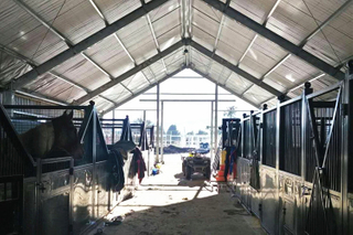 Prefabricated Steel Structure Buidling For Horse Riding Arenas
