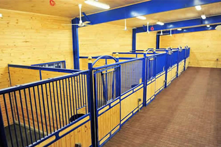 Prefabricated Steel Structures For Equestrian Building