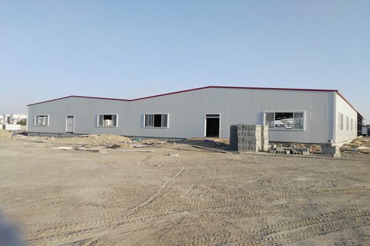 Prefabricated Steel Structure Construction For Bio-Tech Workshop