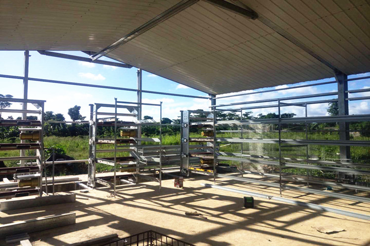 layer chicken farm
