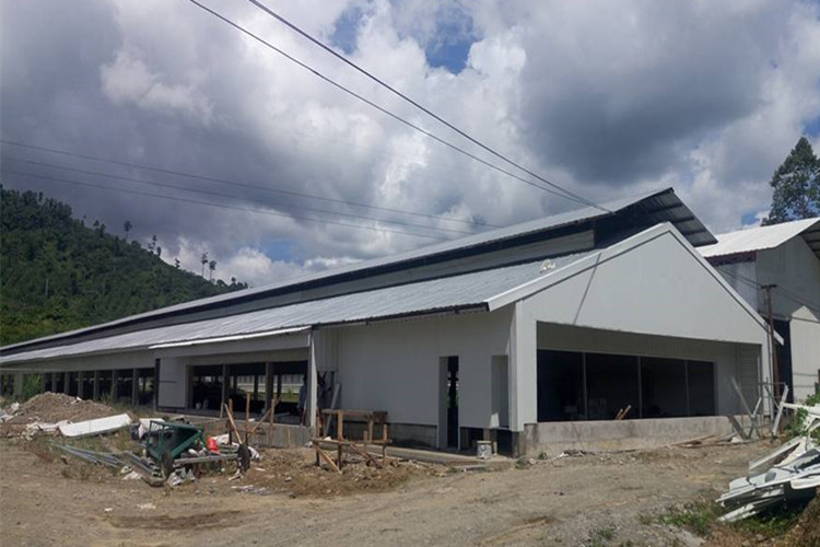 Agriculture Steel Building For Layer Chicken Farm With Poultry Equipment