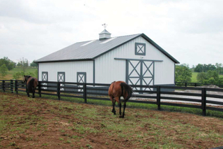 Prefabricated Metal Structures For Indoor Horse Riding Arena
