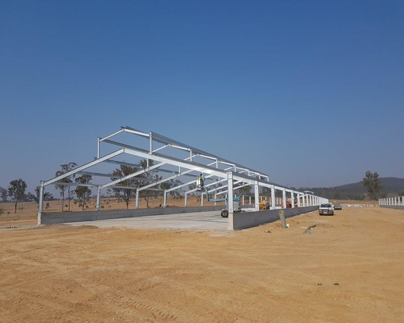 Prefabricated Steel Shed For Electronic Sowing Feeding Pig Farm