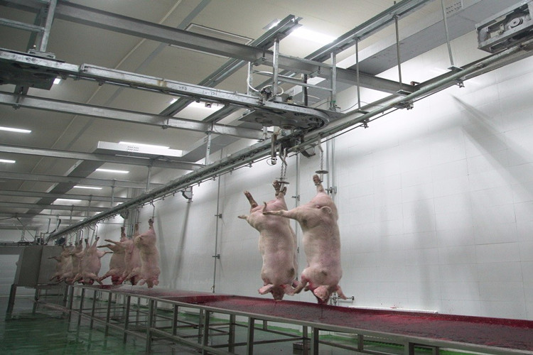 Pork Industry Prefabricated Slaughterhouse Processing Factory