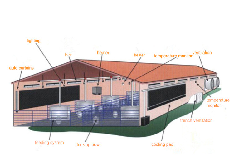 pig farm