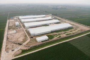 Prefabricated Automatic Feeding/Drinking Poultry House For Broiler Birds