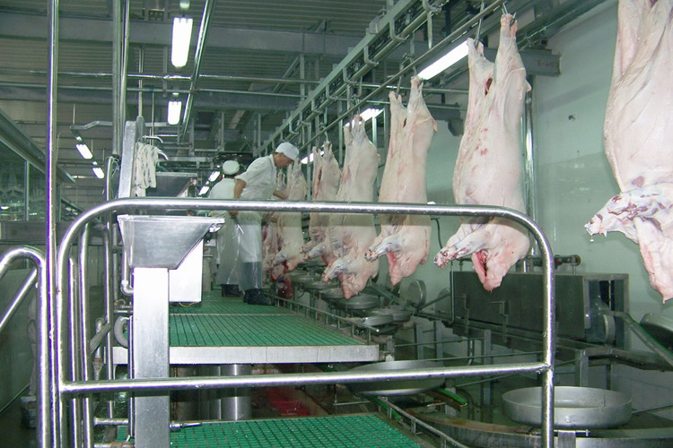 slaughterhouse equipment