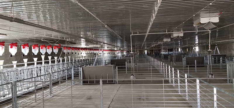 feeding system