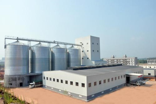 Design Steel Structure For Animal Feed Mill Solution