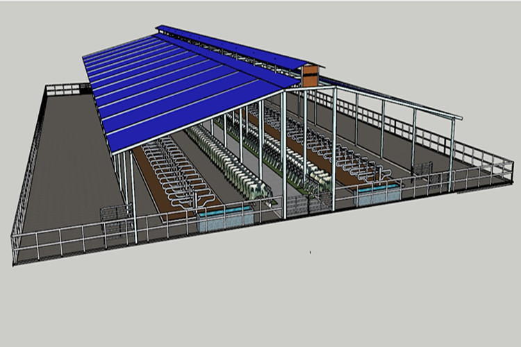 Agriculture Steel Building For Dairy Farm Solution