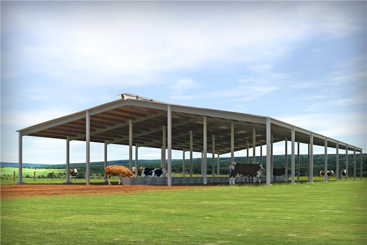 Steel Structure Shed For Cattle Farm with Galvanized Cattle Pen