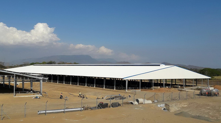 cattle shed
