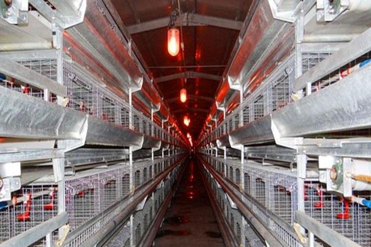 galvanization cages