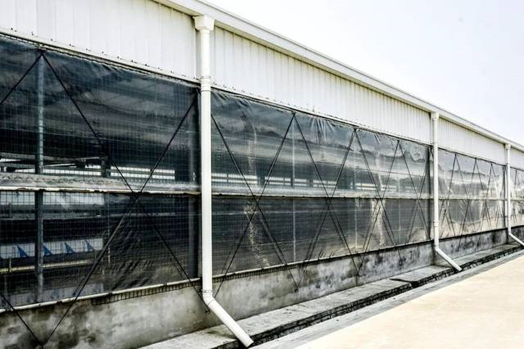 Mordern Chicken Farm For Meat Broiler Birds With Poultry Equipment