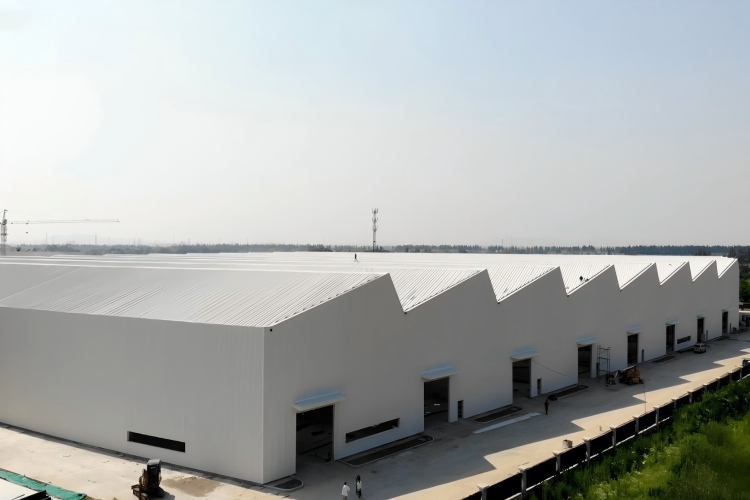 Multi-span Steel Structure Warehouse 