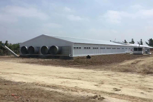 news_content_image_chicken-farm918569155456687771.jpg